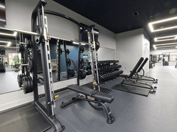 A gym with a variety of equipment including weight machines and dumbbells.